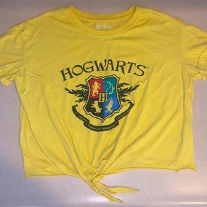 Yellow Hogwarts Crop Top Hufflepuff